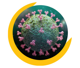coronavirus-image